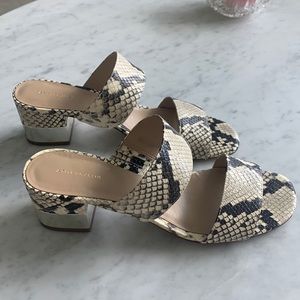 Ann Taylor slides